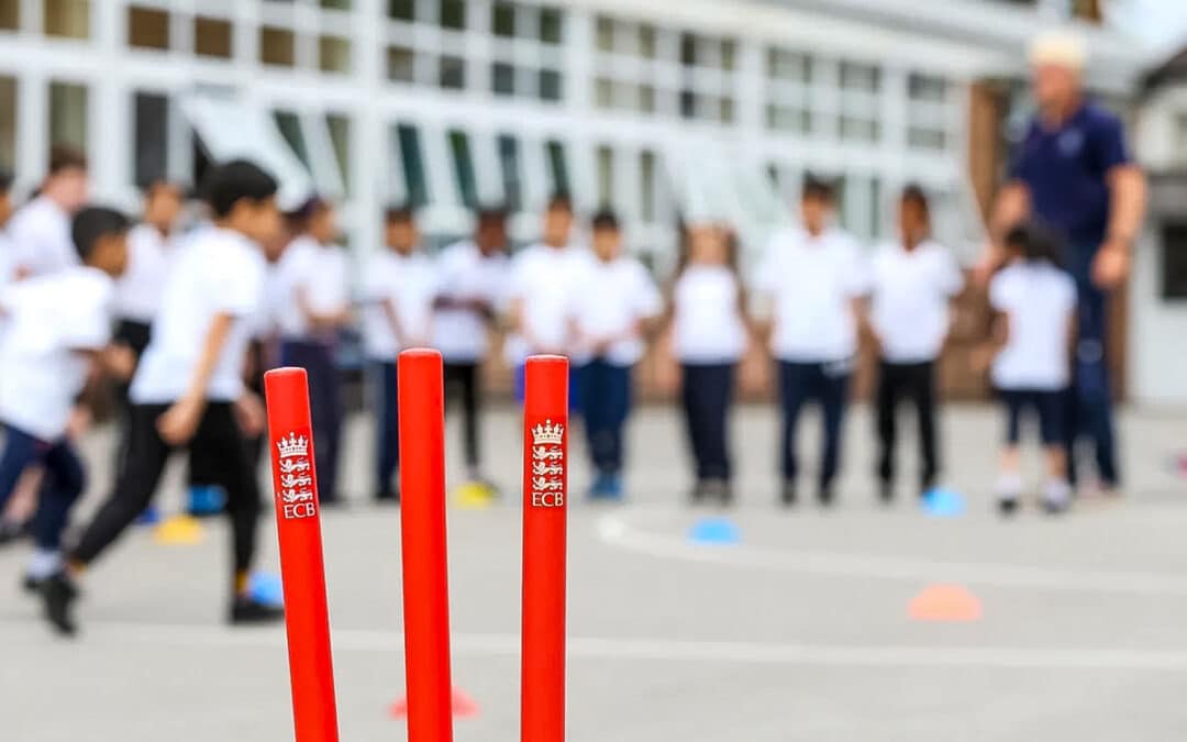 Worcestershire Cricket Foundation Safeguarding Newsletter November 2024